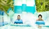 Adventure Cove
