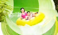 Adventure Cove