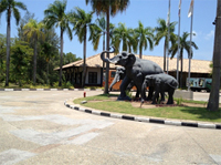 Bintan Resorts