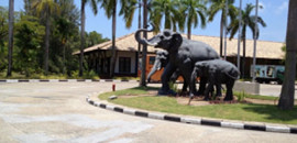 Bintan Resorts