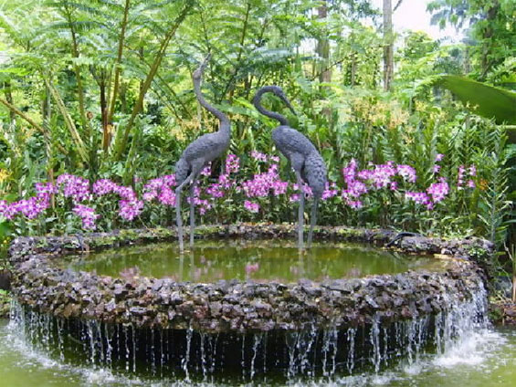 Botanical  Gardens