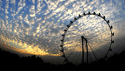 Flyer Ride