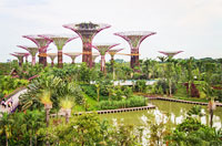 Gardens by the Bay