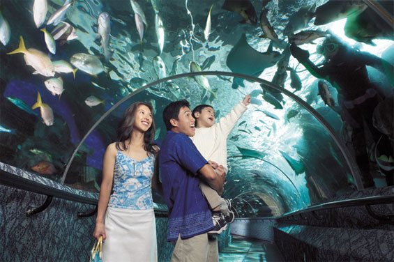 Marine Life Park