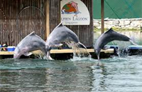 Marine World