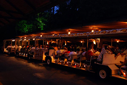 Night Safari Singapore