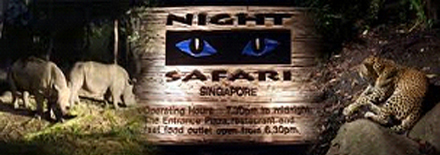 Night Safari Singapore
