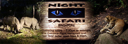 Night Safari