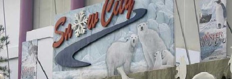Snow City